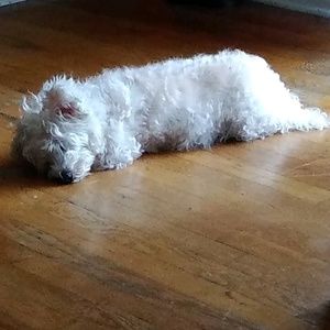 Meet your Posher, Maria